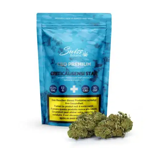 Un emballage bleu étiqueté "fleurs de cbd indoor critical sensi star - 0,3% thc" se trouve derrière plusieurs bourgeons de cannabis critical sensi star, avec des détails visibles sur le produit et un avertissement sanitaire sur l'emballage.