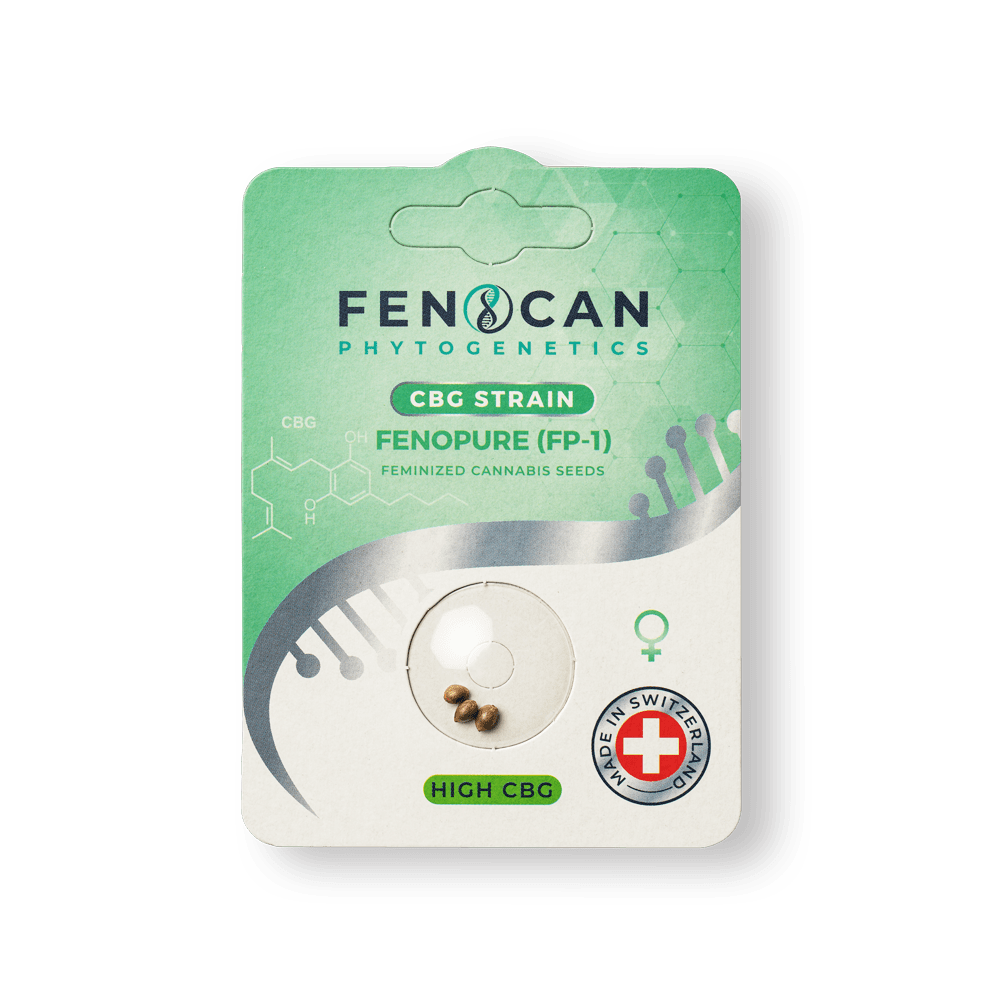 Fenocan CBG 3 Hemp Seeds Fenopure - CBG Oil - CBD.