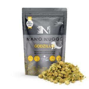 Nanogodzillo 1000x1000 ww