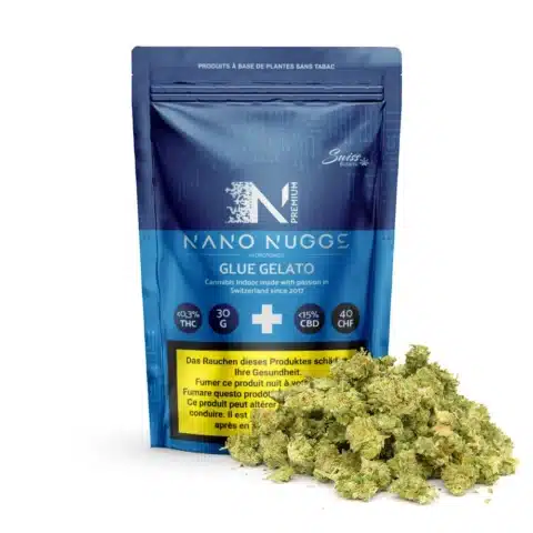 Un sachet refermable bleu de fleurs de cbd indoor nano nuggs - glue gelato (0,3 % de thc) se tient debout à côté d'un petit tas de bourgeons de cannabis séchés.