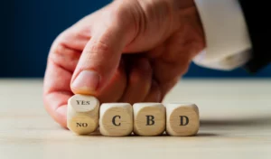 Un homme d’affaires tient des blocs de bois qui disent oui ou non au CBD.