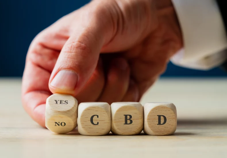 Le cbd est-il légal en france? Guide 2024 4 Un homme d’affaires tient des blocs de bois qui disent oui ou non au cbd.