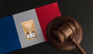 A gavel sits on top of a flag of france.