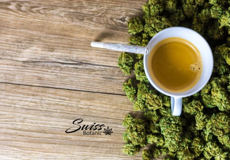 Can you take cbd every day? 6 A cup of coffee on top of a pile of marijuana.