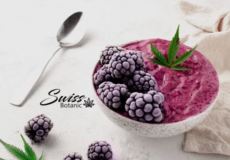 Smoothies au cbd : votre guide pour des boissons santé et plaisir 19 Un bol de smoothie aux mûres avec une cuillère à côté.