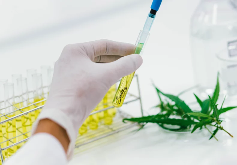 Efectos inmediatos del cbd 2 Effets immediat cbd swiss botanic