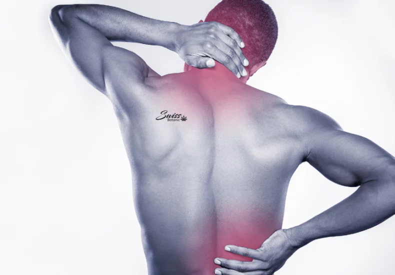 Un hombre con dolor de espalda que se sujeta la espalda busca alivio con cbd.